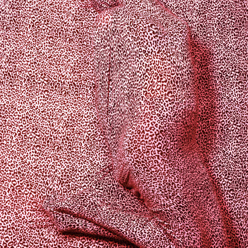 23311926384132945473835872142215006971580573314605382236599850767184111337473