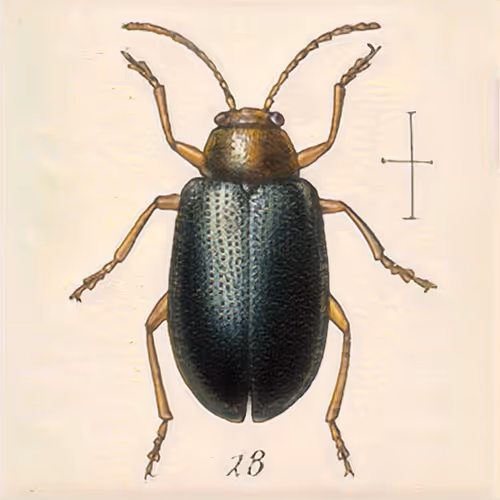 Item #58241160855422744817468407088196322100109565521561100950236904217678087979009 Media