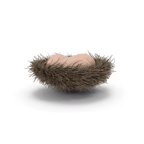 Item #10692128177869217616549875812351760064044743259876947564500344200970016653313 Media