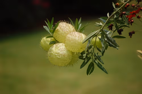 10921472281899964169532918849758086679170676756240661664806421749769701425153