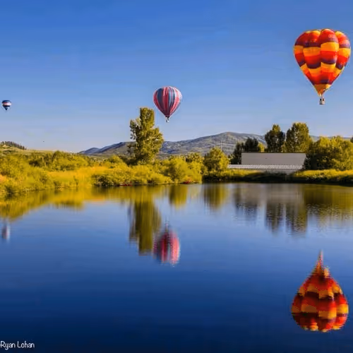 Item #44709480693160417701152031466761867258351074556435739886014108953147128938497 Media