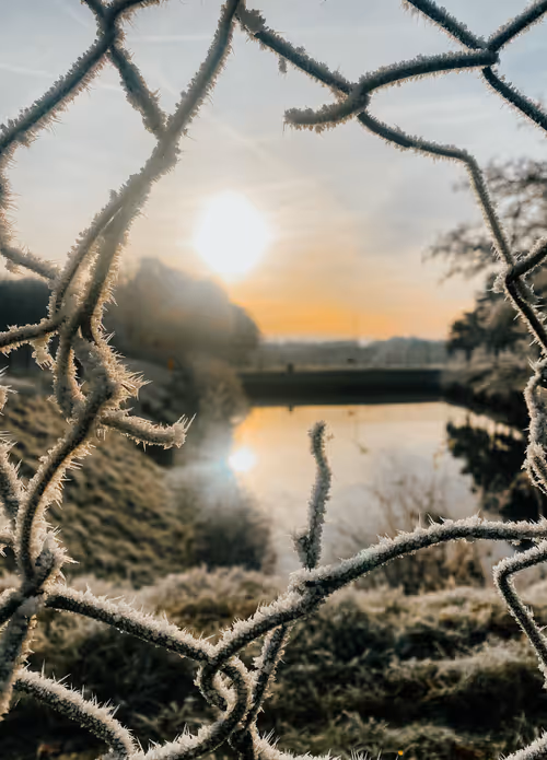 Item #1221306337100687933341799586999295926059352826216580485186700619334442549249 Media