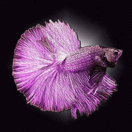 Item #73423654428024661336379470947819889295714855264791127270755008422588981444628 Media