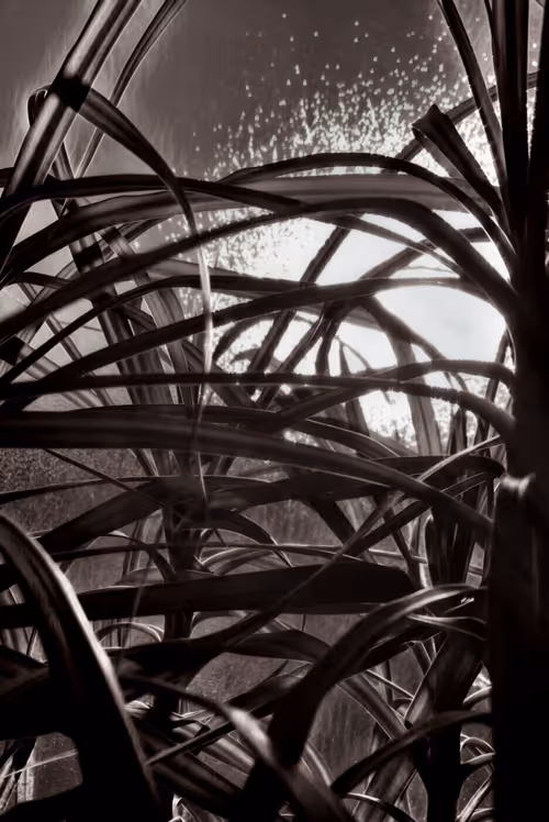 Item #30359339531984443542444511240480786865345556688748183527514009983345041080321 Media