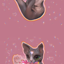 #16 MOON SPHYNX | SAILOR CHIBICAT