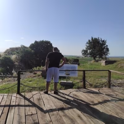 Untitled Collection #78842490