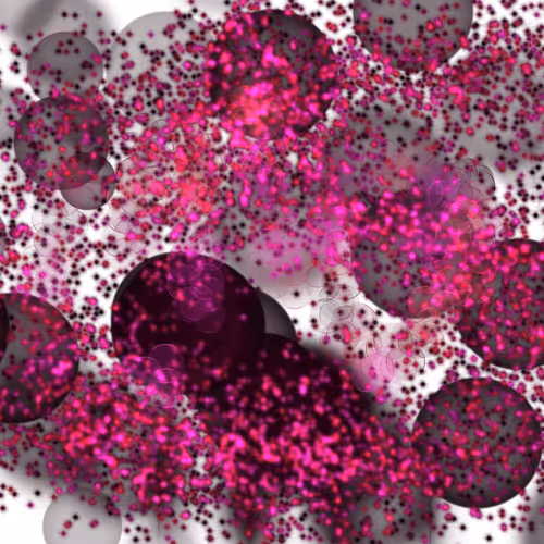 Untitled Collection #72535776