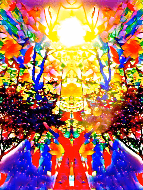 Item #45761928393139652703054468824796551892766939565608634773320190640200385298437 Media