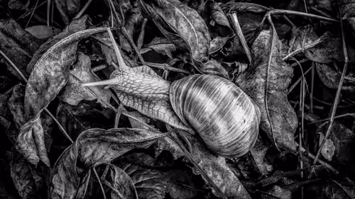 Item #11344951791161137659104281754392441656555545527549605551491260763635156254721 Media