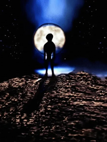 Item #63477199864332346876047430691250883279803745216811129316337883035521093992449 Media