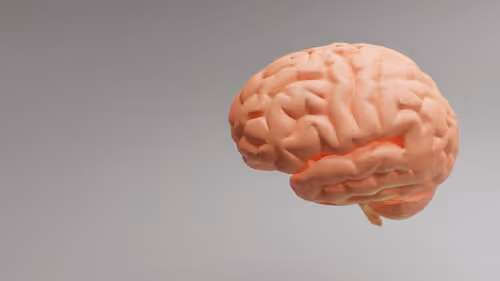 Item #20339825182930209280282064040561672602966152388468783611739007411399382007908 Media