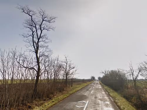 Item #21766675222774875702069380138995276219631073462771150610816622966423739695105 Media