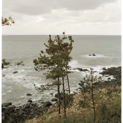 Jeju-do #3