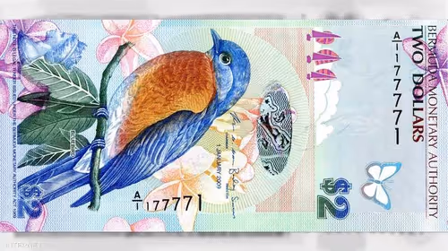 Item #58408560653266177055239592129168900754140982095492404043782717497172859813889 Media