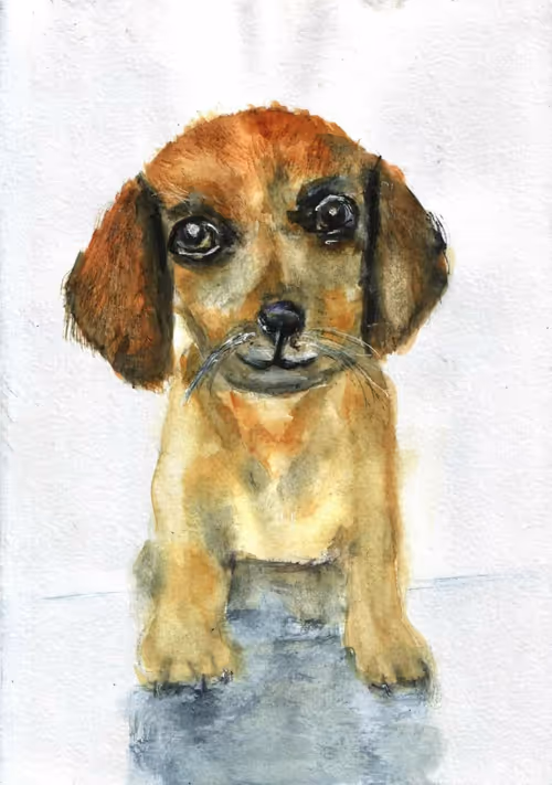 Item #53661683660994396488981893260373811515315705590489664499670501580525998802592 Media