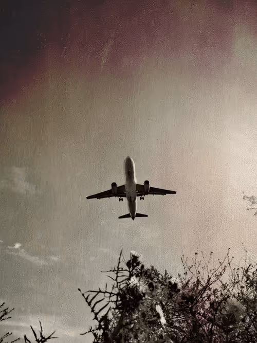 Item #36816001644917254617906175698674191035781868216999975889902342280489077833729 Media