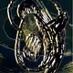 70173555060280459679020221103172679865592931086946583501557978926081502085121