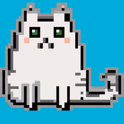 Crypto cat #2