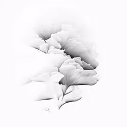 20465790016461110886815958048971507208127989147374131522327960744894459281409