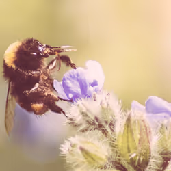 102458927918199709241975540615932782382390740094903184465142341292816802512897