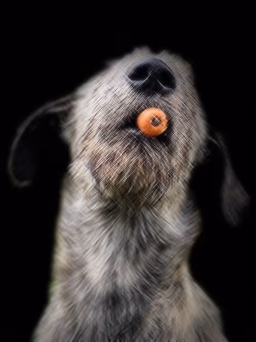 Item #57108856801896560903746486383639662779373746189961117065333784841222484918273 Media