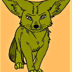 Unique Fennec Fox #9