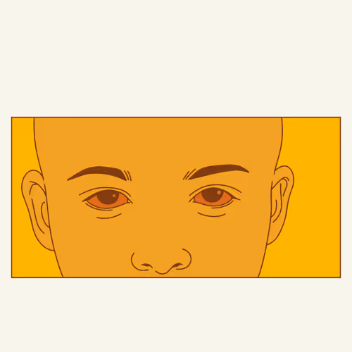 Item #74384261055002571457379278661746175393166635545947416285463590929188534616065 Media