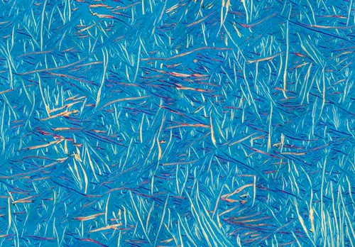 Item #94269245491509990734465210167466884321016156327322156678976395970200039587850 Media