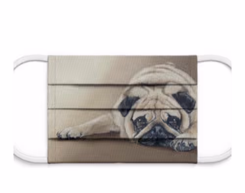 Item #10377994348723267070232788418862827414137458588345052989785880290820286840833 Media