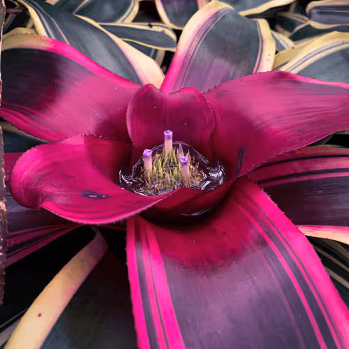 Item #108333172836631629328696584714053398631603269563571358519615745325110313091073 Media