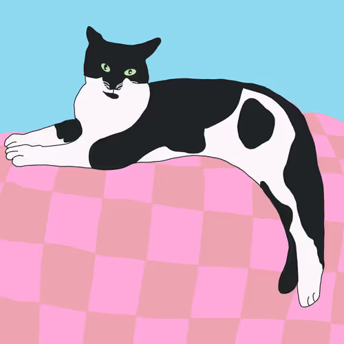 Item #100705917282703893939384424075952826083151836848677792179932389089472430473217 Media