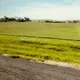 4306262758995636667244506867562732135339881840829568441649393273850019446794