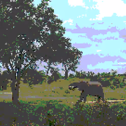 Wild elephant by the tree