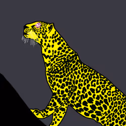 CryptoPard #10