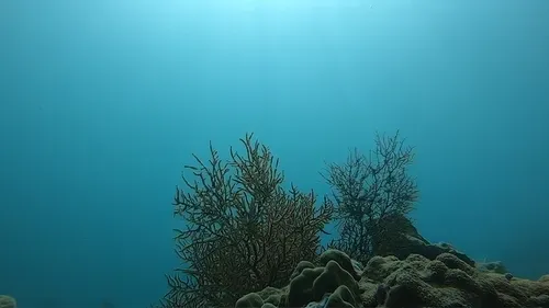 Item #5197567753833106557597825961189698387337439397351330217224199166931865960449 Media