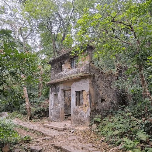 Item #55498827453282751112994663474612527609893380765469579837476847560541704552458 Media