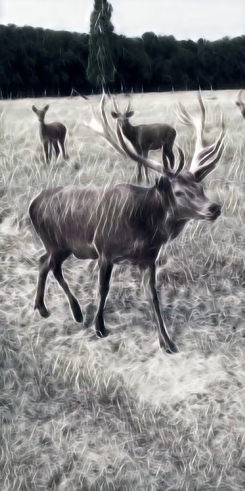 Item #8651498271250357396440676192848533063446167115421124880697921215147404165121 Media