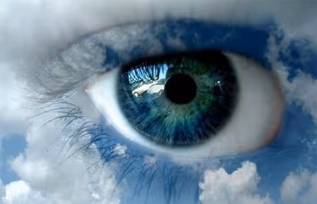 Untitled Collection #148082187