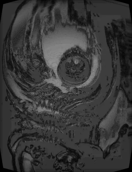 Item #53005209124234126952034718365391236339276044445194367771106162622392571002905 Media