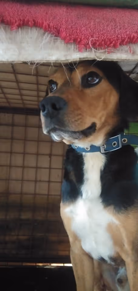 Item #23439807421783349604606688817165201350165750151979961366033252228202735075329 Media