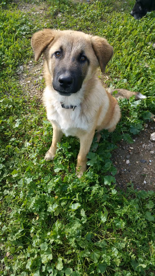 Item #7967281033894542222055828877453032867342209807388350993583448310119846117377 Media