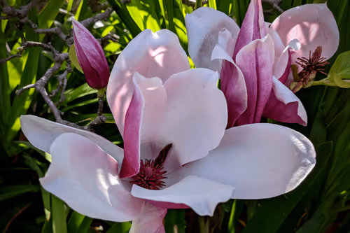 Item #39075669952795110311488058078452160275975432518977374571902800571735786651649 Media