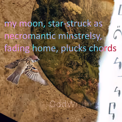 48289997999590210334063077456393509528592056807732048907342275355770634633217