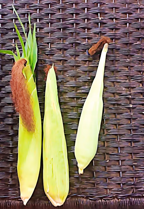 Item #113549443729585634184142871702156049309716598112415025024923876497331228508167 Media