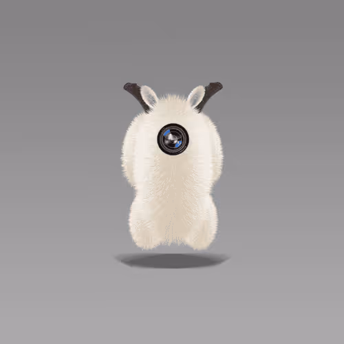 Item #36658314477409066993636989499050171720750963041249788846139160077738637787137 Media