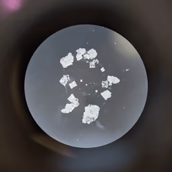 Sodium Chloride #149