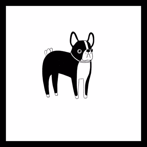 Item #5320088112677733545952369768445350428421303991645855152458176113232796712961 Media