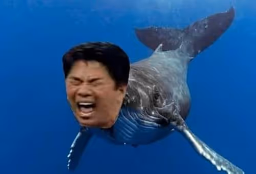 Untitled Collection #283870838