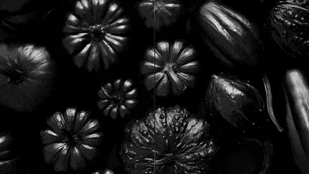 Item #36079854245753815485314985912014674185614795485742504983556302760353365753857 Media