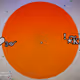 110321347324786687919004499814065362537800219039606046018027611565434817478657